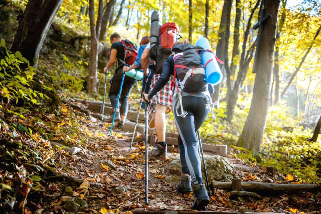 hikers climbing a leafy hill in the sunlight 2026 09 22 19 05 05 utc