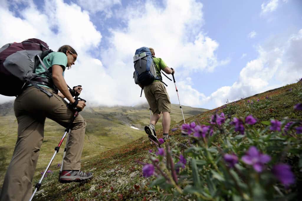 hikers trekking up wildflower covered hillside 2026 09 22 04 30 01 utc